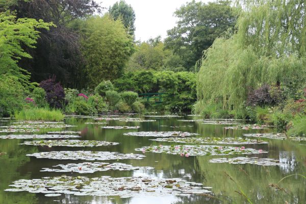 Miért festette Monet több mint 250-szer ugyanazt a tavat? | Víztér